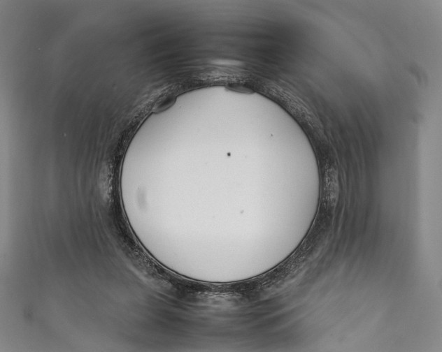 X0000111210255200907221157