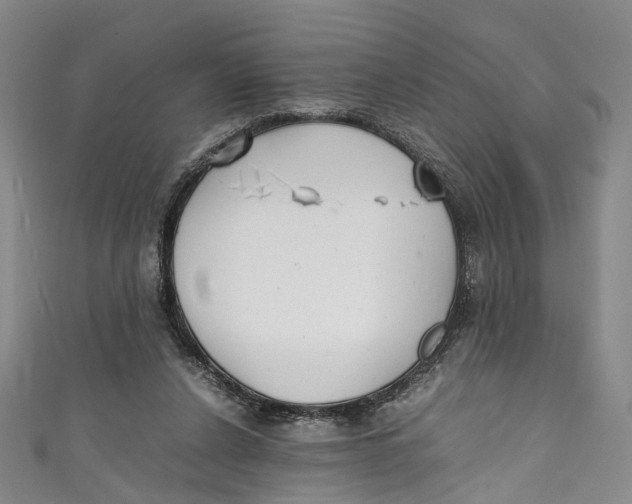 X0000111210256200907221157