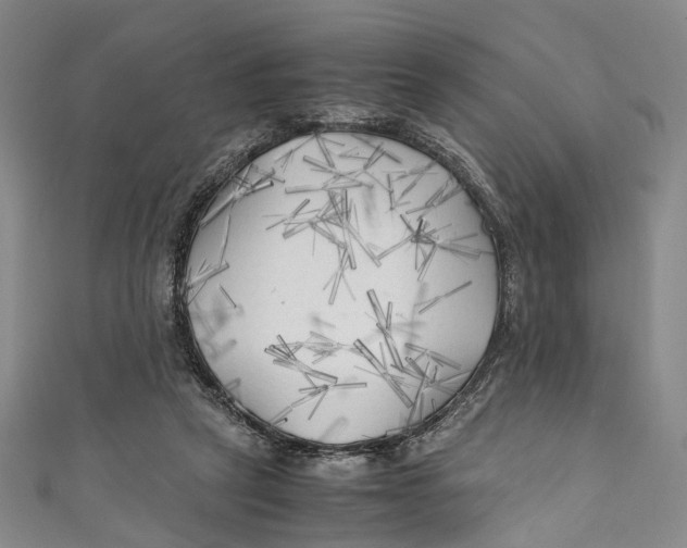 X0000111210257200907221157