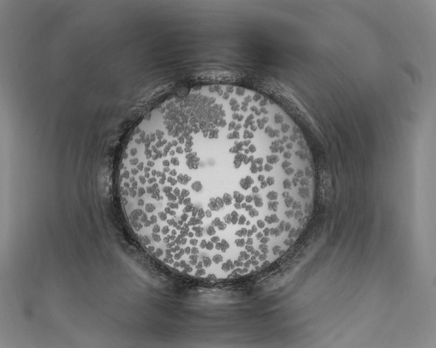 X0000111210259200907221157