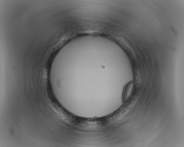 X0000111210260200907221157