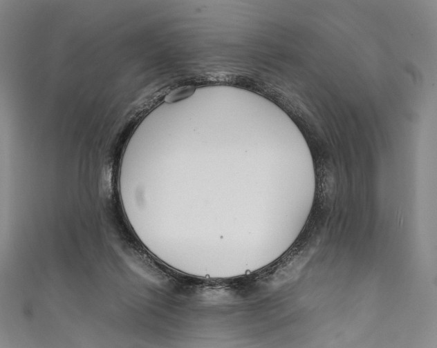 X0000111210262200907221157