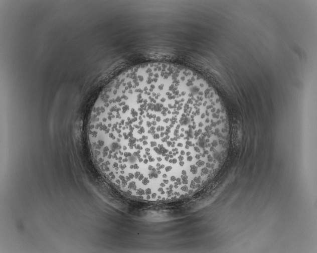 X0000111210263200907221157