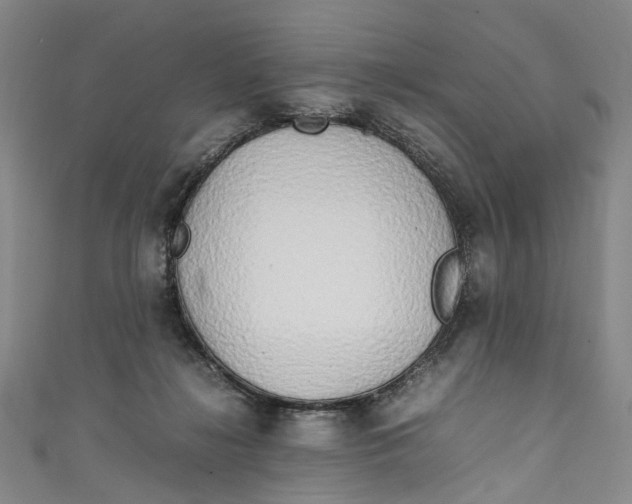 X0000111210268200907221157