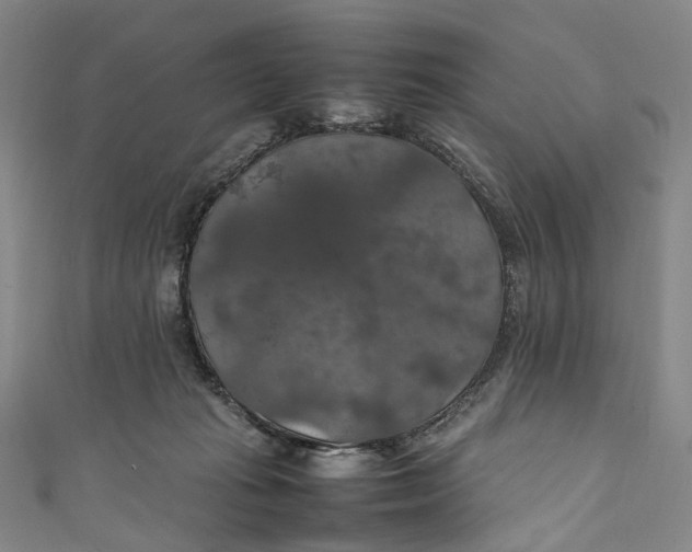 X0000111210269200907221157