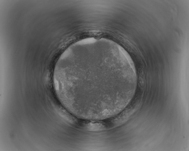 X0000111210270200907221157