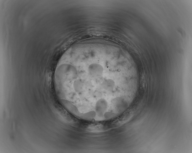 X0000111210271200907221157