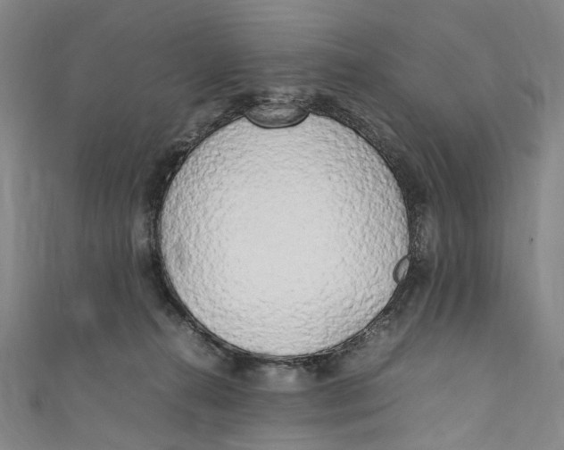 X0000111210272200907221157