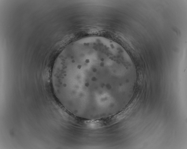 X0000111210273200907221157