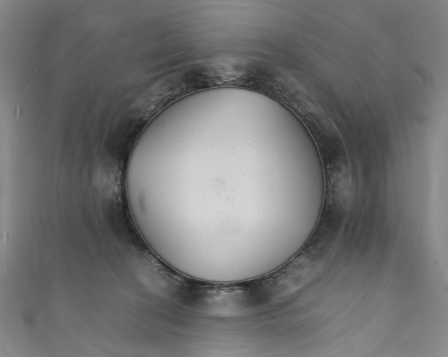 X0000111210274200907221157