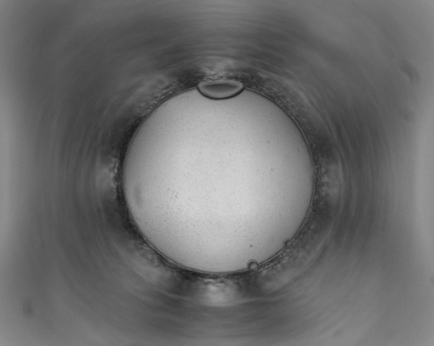 X0000111210275200907221157