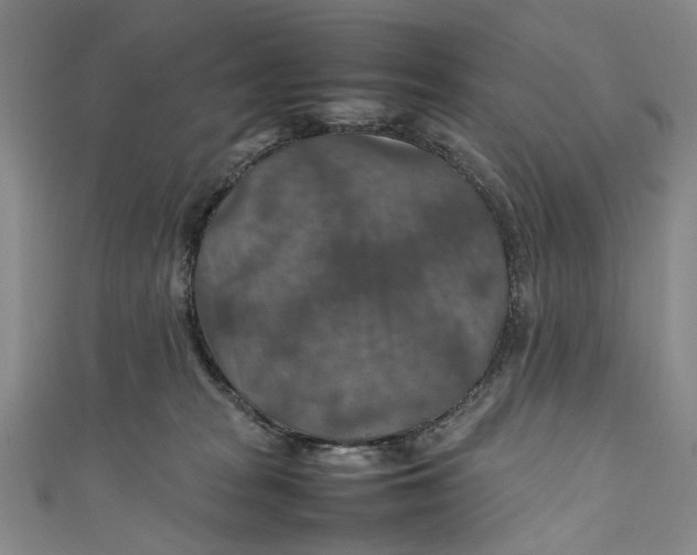 X0000111210277200907221157