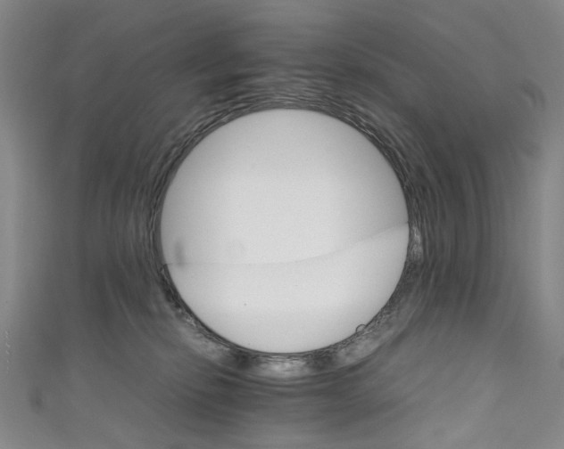 X0000111210278200907221157