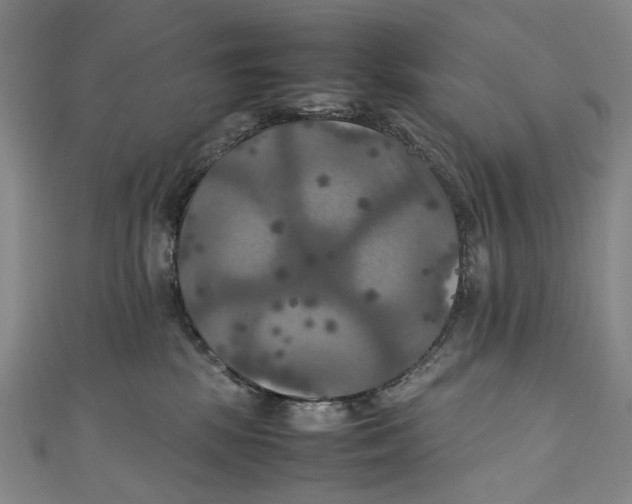 X0000111210281200907221157