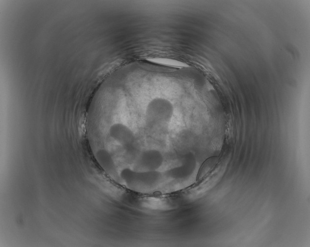 X0000111210285200907221157