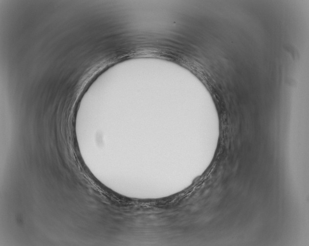 X0000111210289200907221156