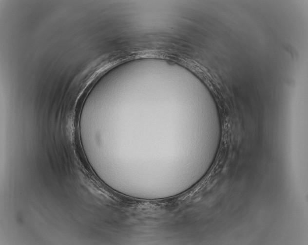 X0000111210290200907221156