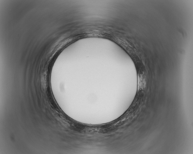 X0000111210291200907221156