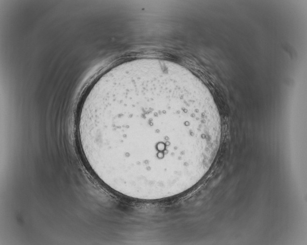 X0000111210293200907221156