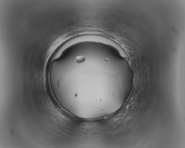 X0000111210296200907221156