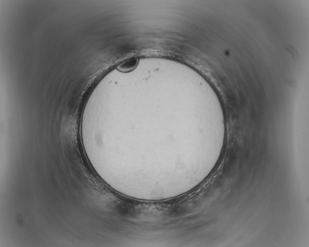 X0000111210297200907221156