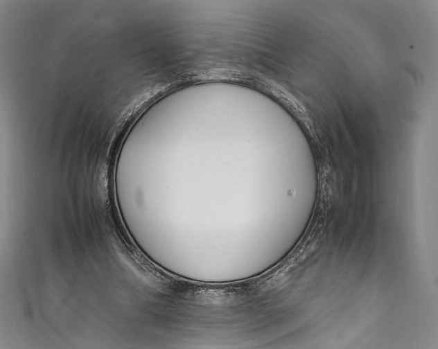 X0000111210298200907221156