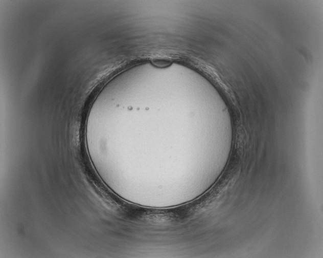 X0000111210299200907221156