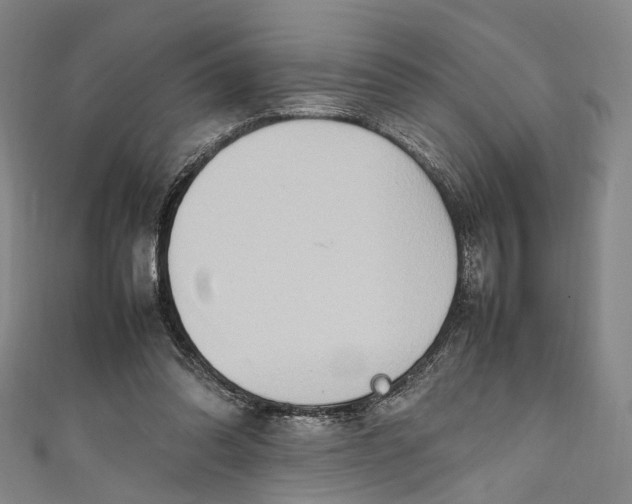 X0000111210302200907221156