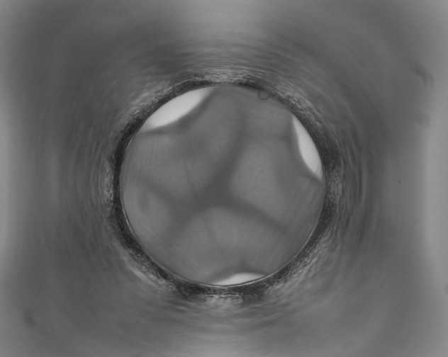 X0000111210303200907221156