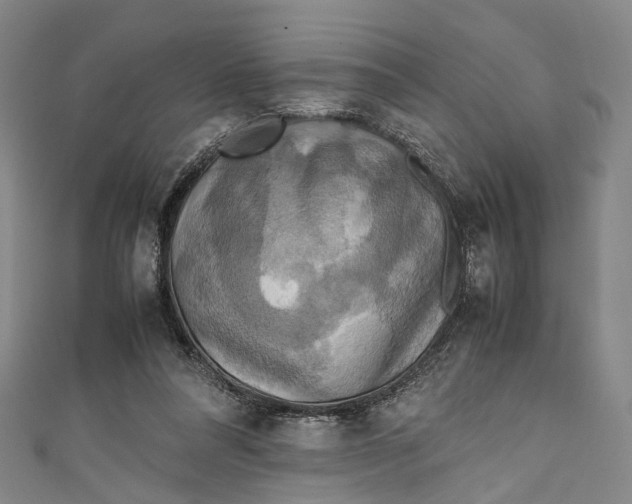 X0000111210304200907221156