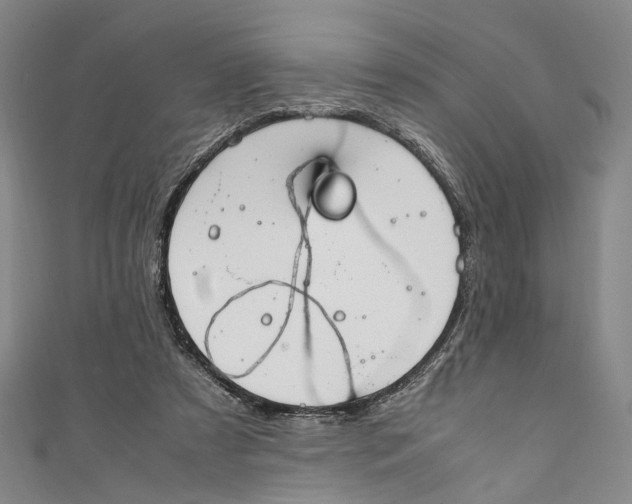 X0000111210305200907221156