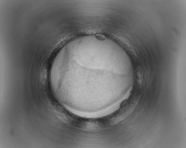 X0000111210308200907221156