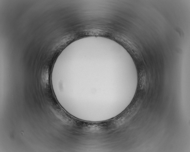 X0000111210310200907221156