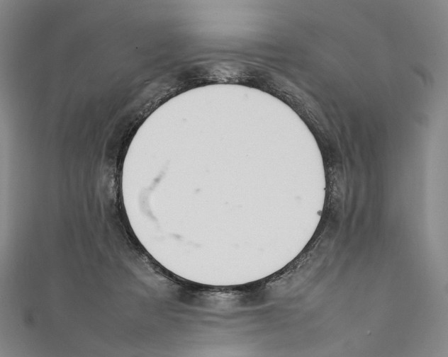 X0000111210313200907221156