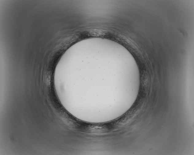 X0000111210315200907221156