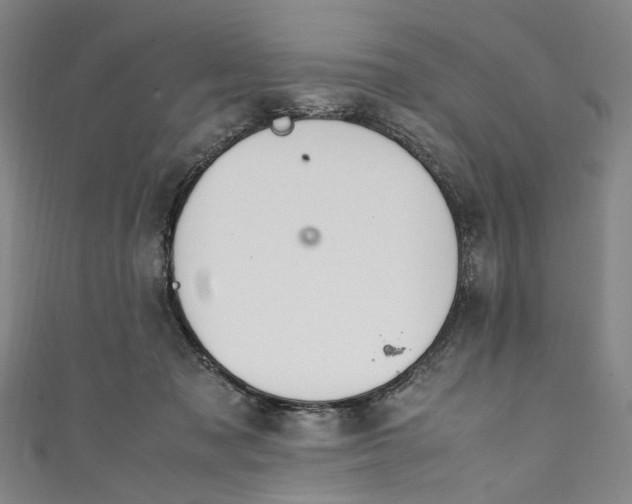 X0000111210317200907221156