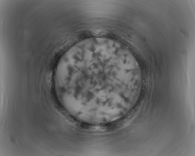 X0000111210319200907221156