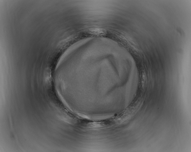 X0000111210320200907221156