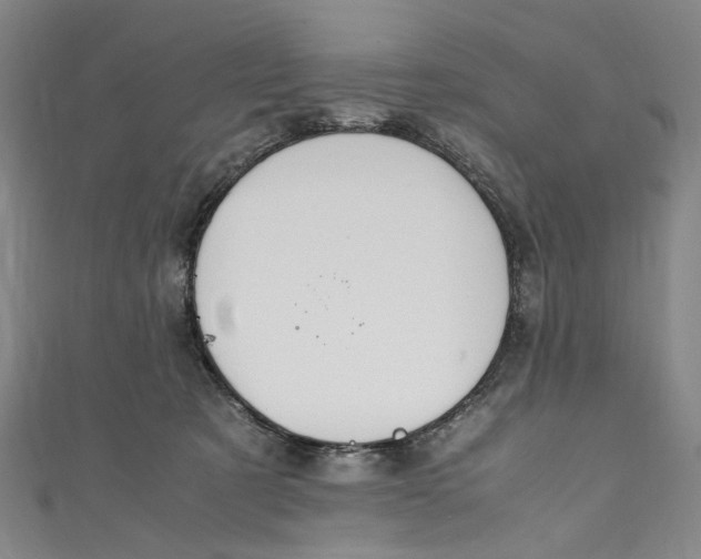 X0000111210321200907221156