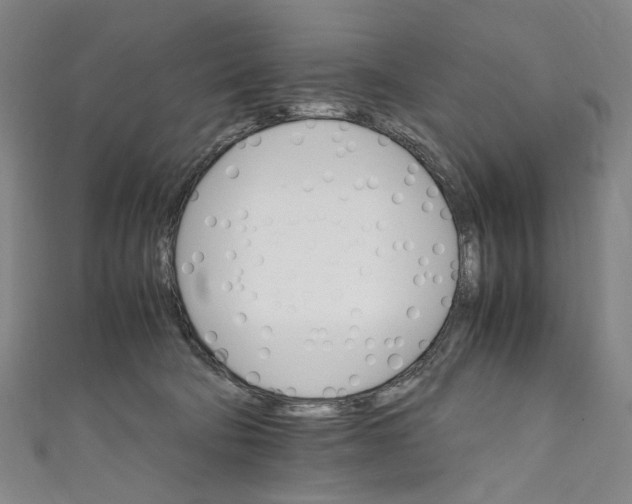 X0000111210322200907221156