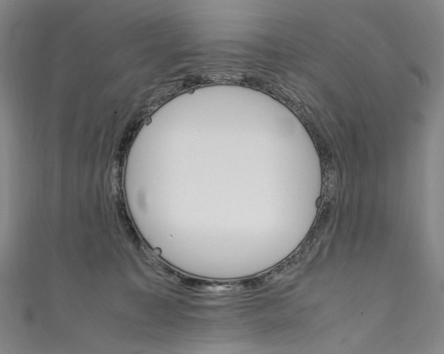 X0000111210323200907221156