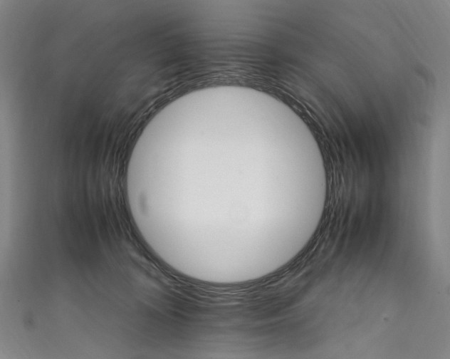 X0000111210324200907221156