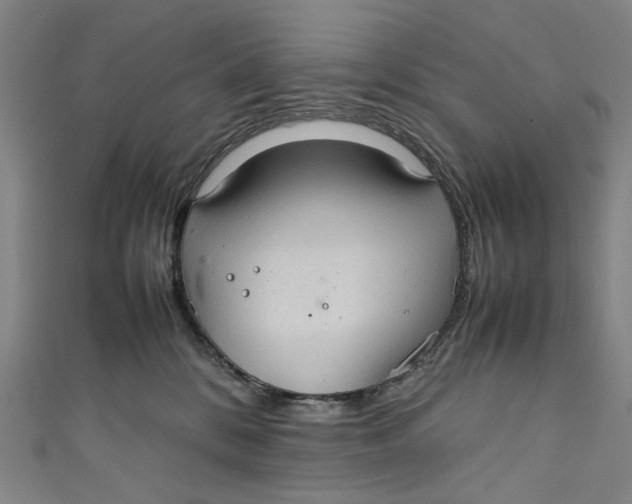 X0000111210328200907221156