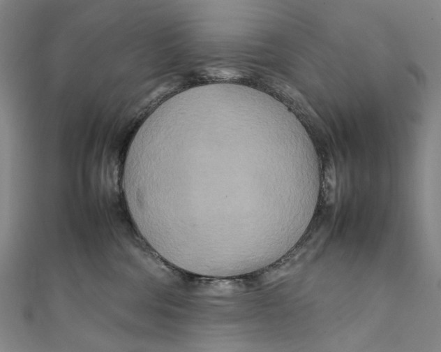 X0000111210330200907221156