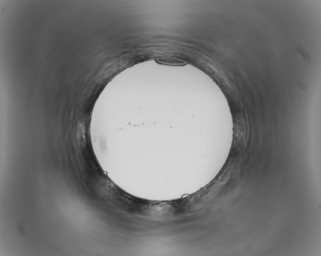 X0000111210333200907221156