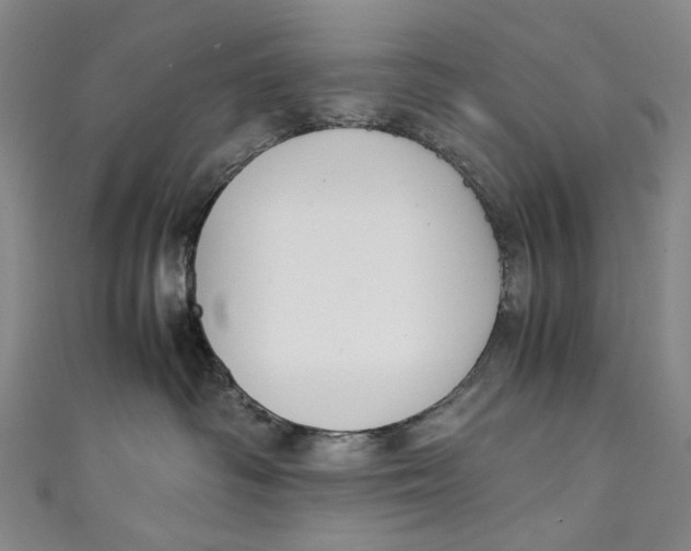 X0000111210334200907221156