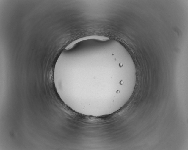 X0000111210336200907221156