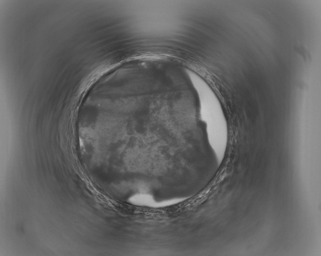 X0000111210337200907221155