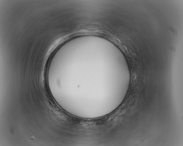 X0000111210340200907221155