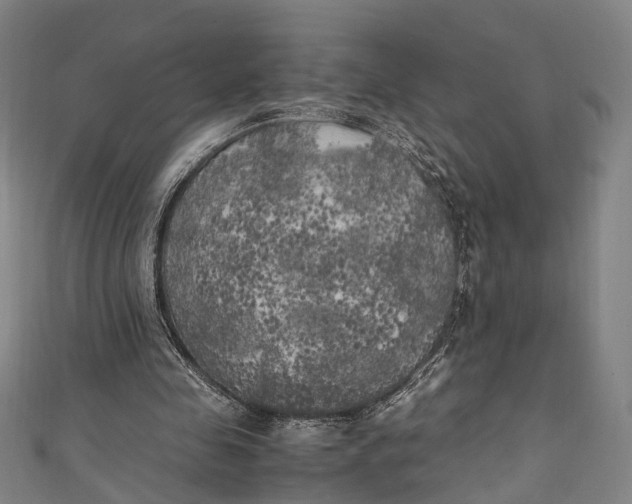 X0000111210341200907221155